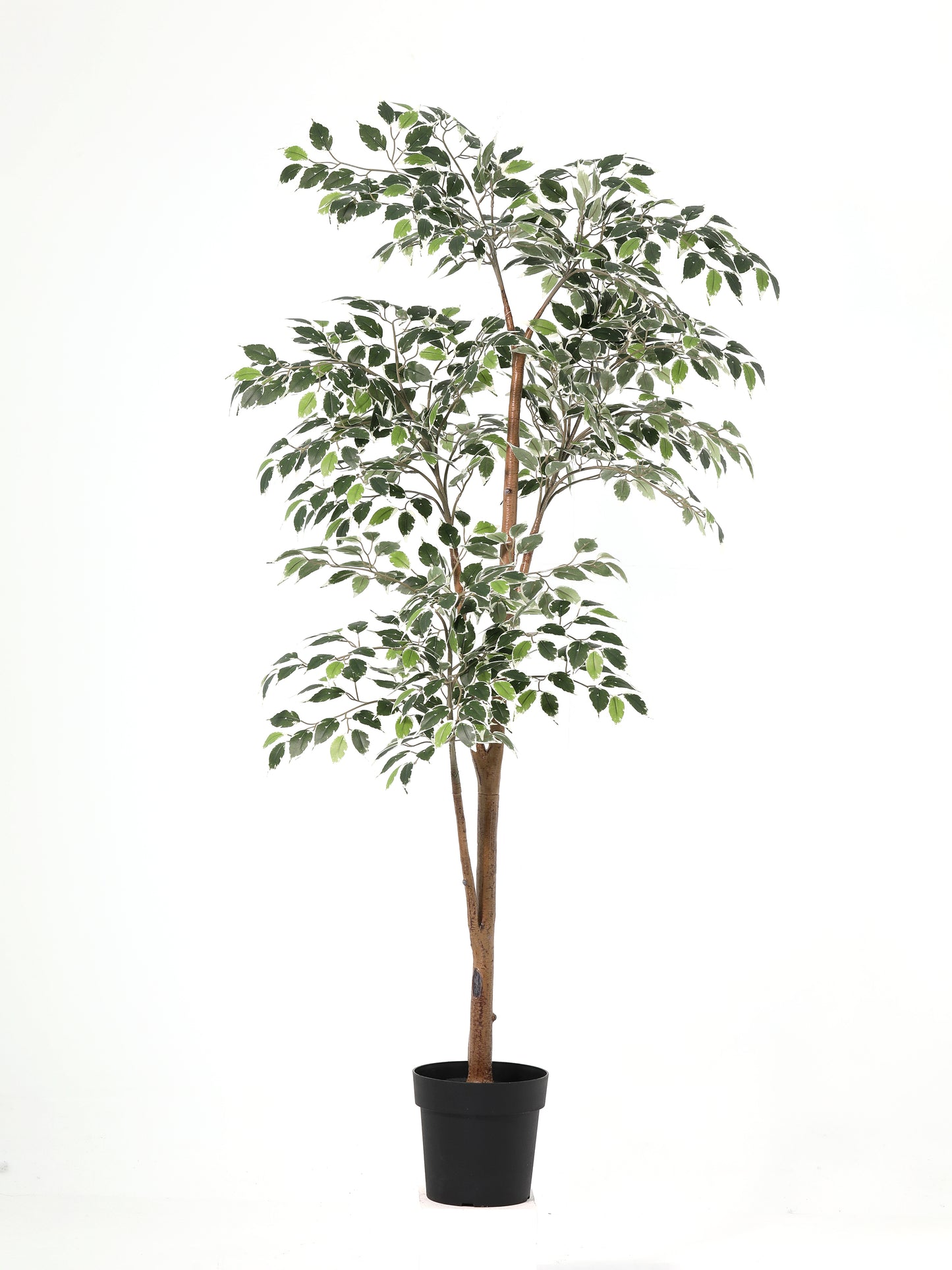 Artificial Variegated Ficus Tree